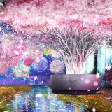 2020年第一场赏樱盛会！快来日本桥「FLOWERS BY NAKED」置身绝美光雕花影