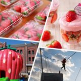 草莓控的梦幻乐园，2月一定要去的「横滨草莓节」