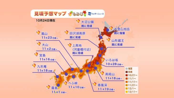 2019年全日本各地红叶预测全攻略（加映：银杏黄叶情报）