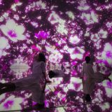 丰洲「teamLab Planets Tokyo」带你走进如梦似幻樱花水世界