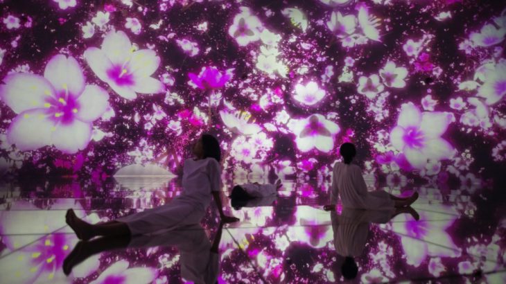 丰洲「teamLab Planets Tokyo」带你走进如梦似幻樱花水世界