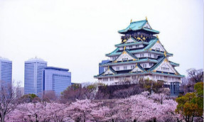 【爱知】冈崎，德川家康出生地的美景和美味