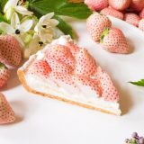 GRAND MAISON银座・青山Qu’il fait bon「特选 白草莓初恋香味蛋挞」先行发售