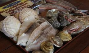 【和歌山 美食】南纪白滨：海鲜料理的天堂