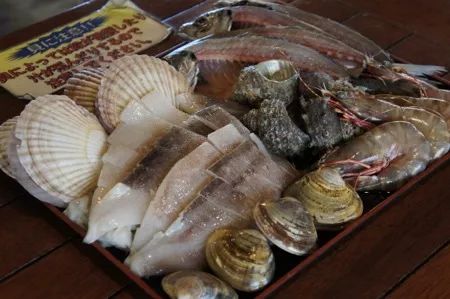 【和歌山 美食】南纪白滨：海鲜料理的天堂