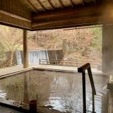 深入群马的秘汤：药师温泉 旅笼