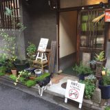 【京都】下京区漫步（2）到寺院里来一餐京料理！去京町家逛杂货