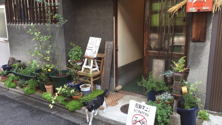 【京都】下京区漫步（2）到寺院里来一餐京料理！去京町家逛杂货