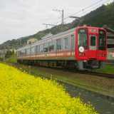 【大阪旅游】南海电铁套票 春游高野山的绝佳行程