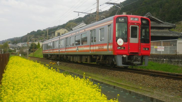【大阪旅游】南海电铁套票 春游高野山的绝佳行程