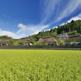 【群马】川场温泉悠汤里庵，体验日本的原风景！