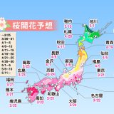 【2019年日本樱花预测前线】日本赏樱现在开始准备！（持续更新 各地开花预报 ）