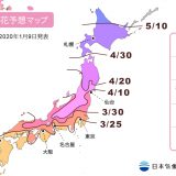 【2020年日本樱花预测前线】日本赏樱现在开始准备！（持续更新 各地开花预报 ）