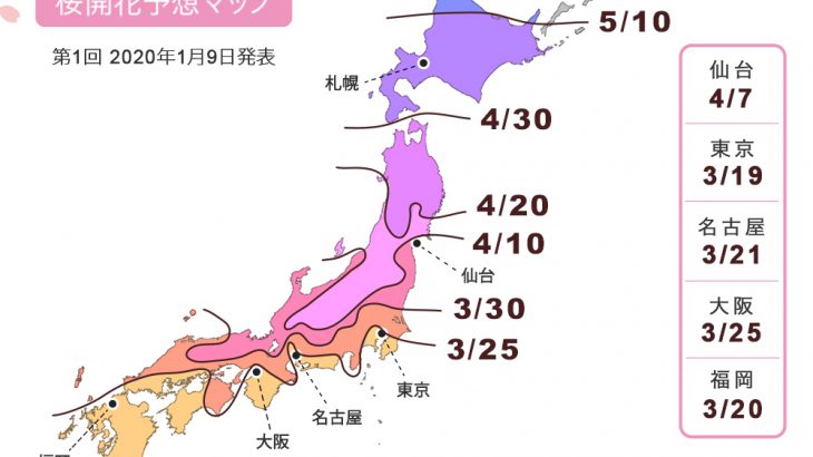 【2020年日本樱花预测前线】日本赏樱现在开始准备！（持续更新 各地开花预报 ）