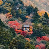 高山和滑雪，日本人拥抱自然背后的小故事