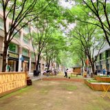 【东京】丸之内Marunouchi Street Park：街区绿化打造户外餐饮和行动办公室