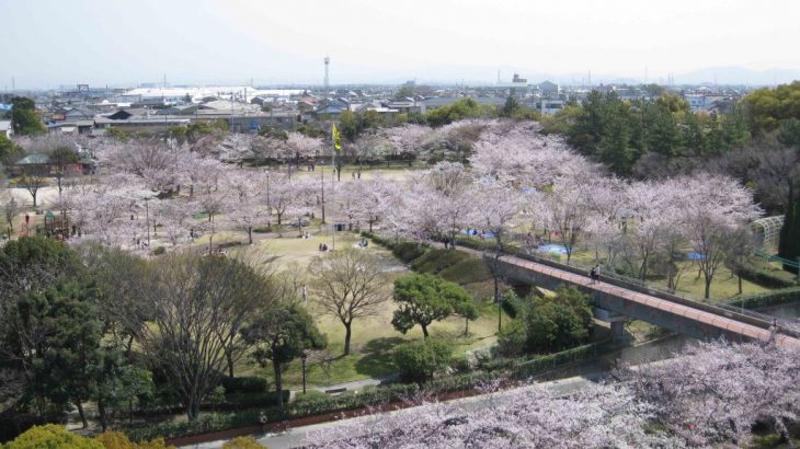 没听过爱知县碧南市？少了这个地方，日本料理将不再色香味具全！【张维中的日本小镇时光】