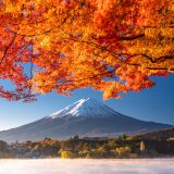 【日本红叶】2024最新版！日本全国最佳赏枫时间、必去红叶景点懒人包