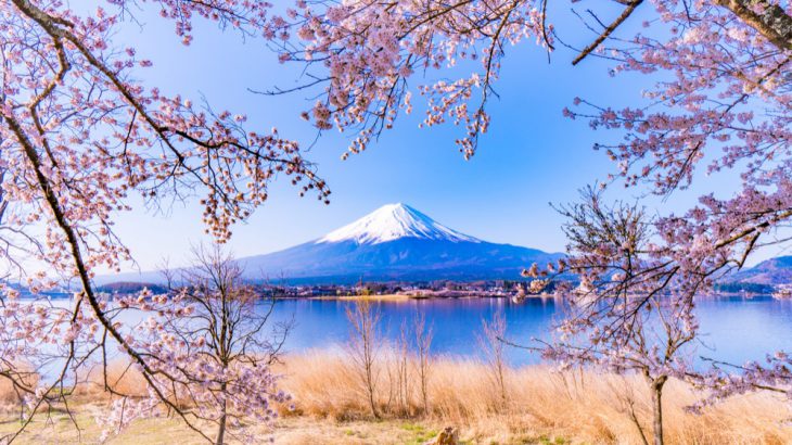 【日本樱花】2025年最新！日本全国最佳赏樱时间、春天必去樱花景点推荐指南
