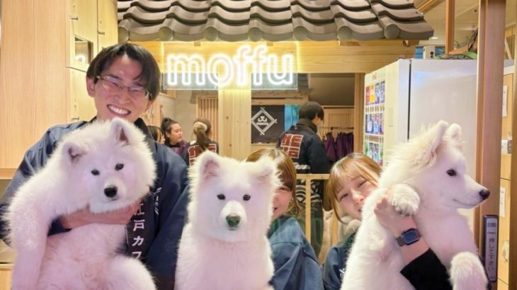 【东京动物咖啡厅】东京原宿竹下通新亮点！超萌「萨摩耶咖啡 moffu 竹下通店」与疗愈狗狗一起拍照玩耍