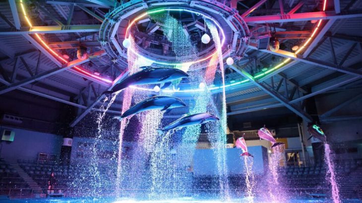 【东京室内景点】东京都心水族馆「Maxell Aqua Park 品川」：数字科技 x 海洋世界交织的水族娱乐体验