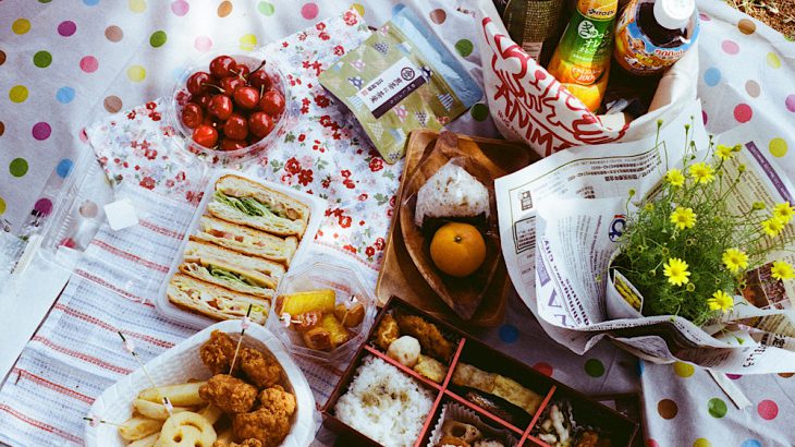 【东京】「国营昭和纪念公园」公园野餐赏樱赏花超推荐！樱花树下的草地飨宴