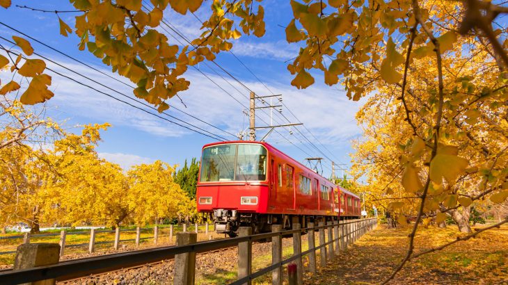 【爱知自由行】名古屋出发 5 条经典一日游路线！乘坐电车轻松玩遍爱知各城市
