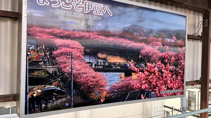 【日本樱花】静冈县河津町：大人味的旅行，就是必须不假外力亦能自得其乐