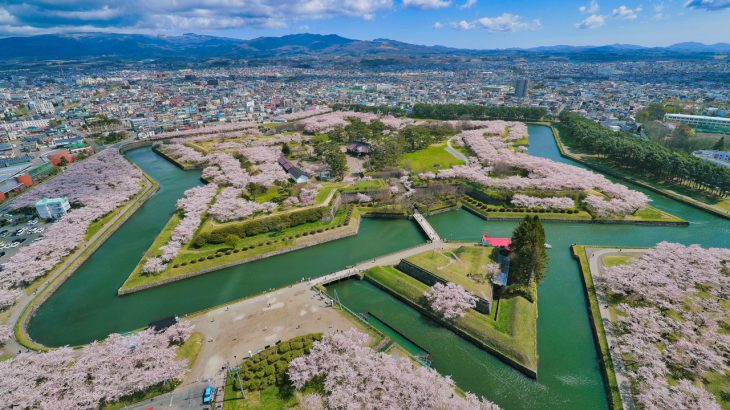 【北海道樱花】2026年最新！北海道赏樱攻略：必访秘境与最佳赏樱时间指南