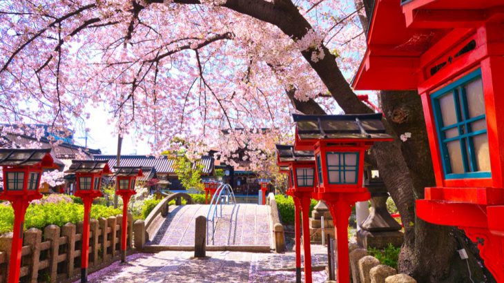 【京都樱花】2026年最新！10大必访京都赏樱名所！在最佳赏樱时间穿上和服与樱花浪漫约会