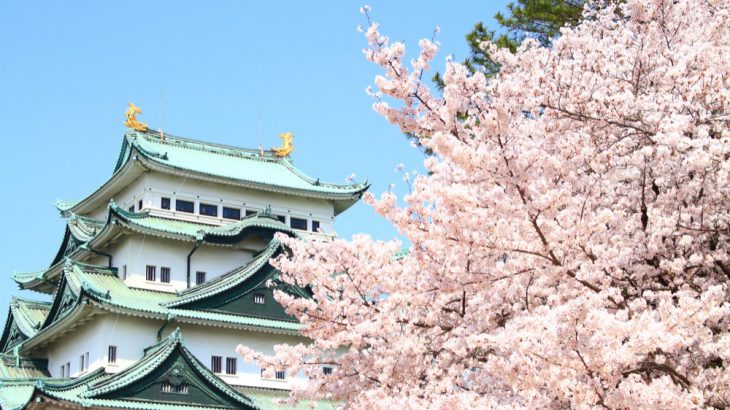 【名古屋樱花】2026年最新！爱知县名古屋10大必去赏樱名所！最佳赏樱时间、人气景点总整理