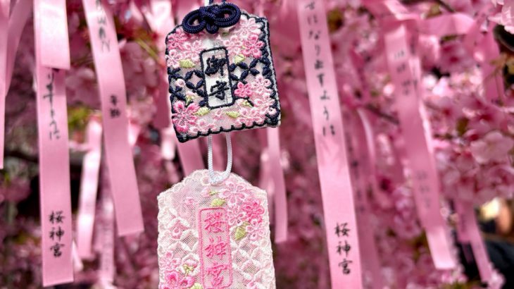 【东京神社】早春赏樱秘境！浪漫「樱神宫」完整攻略：人气蕾丝御守、御朱印、赏粉色河津樱