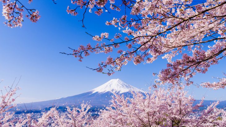 【日本樱花】2026年最新！日本最佳赏樱时间、春天必去樱花景点推荐指南