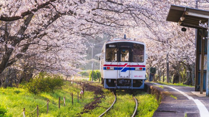 【九州赏樱】2026年最新！日本九州樱花季旅游攻略：最佳赏樱时间、10大人气景点推荐
