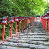 【京都必去】从贵船神社的贵船祭，开启京都的夏季吧！