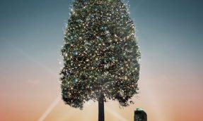 【关西必去】30公尺高「世界第一的圣诞树」即将在神户闪耀登场！